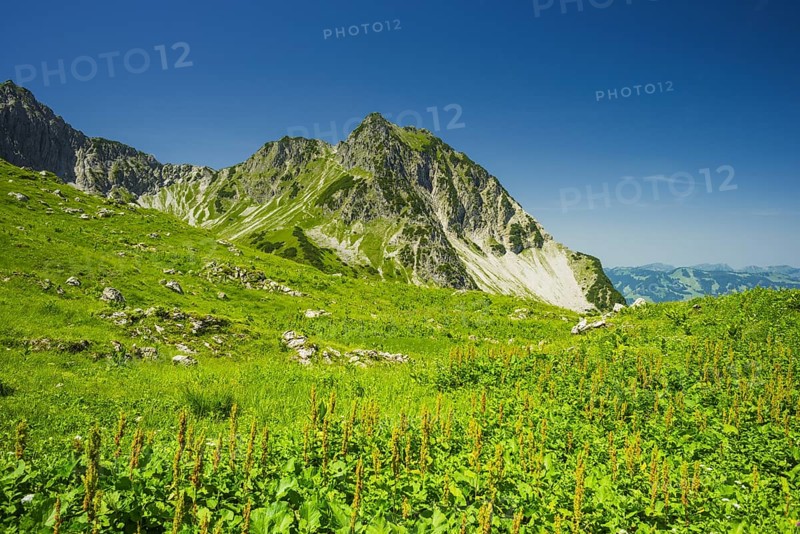 Rubihorn, 1957 m, Allgaeu Alps, Allgaeu, Bavaria, Germany, Europe