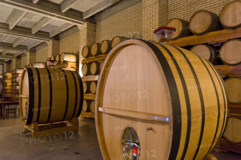 Oak barrels for wine aging in an underground cellar in Vale dos Vinhedos