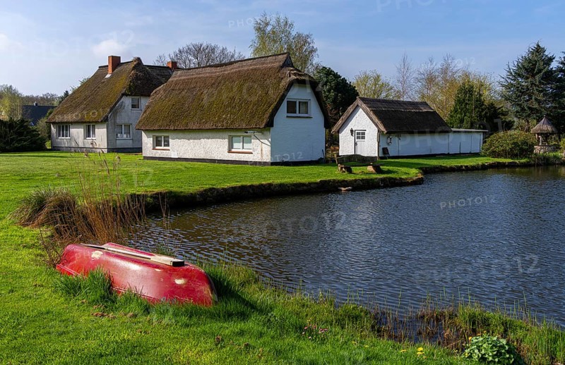 Holiday homes by a small pond, Binz, Ruegen, Mecklenburg-Vorpommern, Germany, Europe