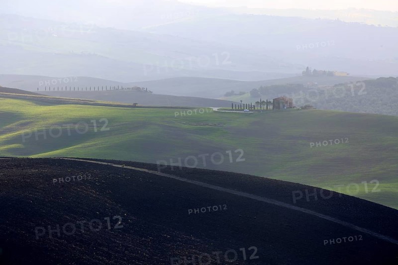 Shadows and light play over the rolling hills of Tuscany at dusk, Italy, Tuscany, Podere Belvedere, Val d'Orcia, Pienza, Siena Province, Europe