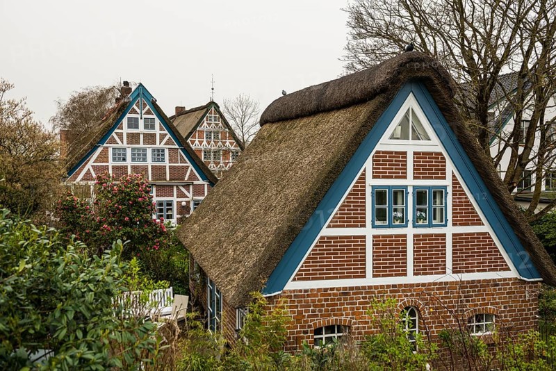 Half-timbered houses with thatched roofs, Steinkirchen, near Jork, Altes Land, Lower Saxony, Germany, Europe