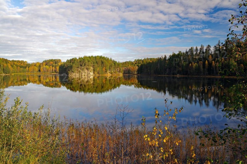 Trees reflected in the calm waters of a lake, foliage colouring, Bullaren, Bohuslaen. Sweden