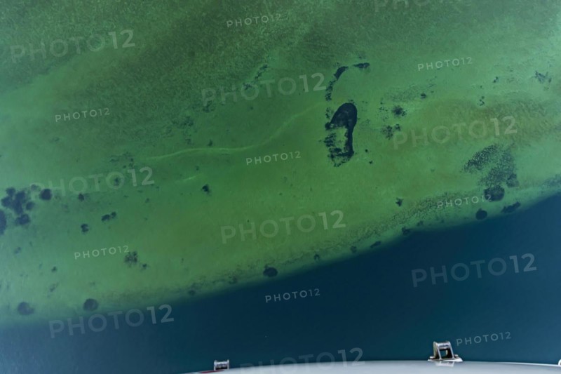 Zeppelin flight over Lake Constance, shore area with turquoise-coloured water, Friedrichshafen, Baden-Wuerttemberg, Germany, Europe