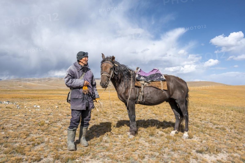 Nomadic life on a plateau, shepherd on horse, Tian Shan Mountains, Jety Oguz, Kyrgyzstan, Asia