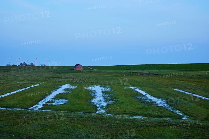 Drainage ditches in the dyke hinterland at dusk near Ockholm, Nordfriesland district, Schleswig-Holstein, Germany, Europe