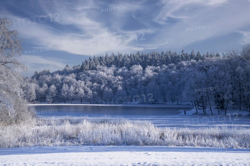 Holzmaar, in winter, nature reserve, Vulkaneifel, Rhineland-Palatinate, Germany, Europe