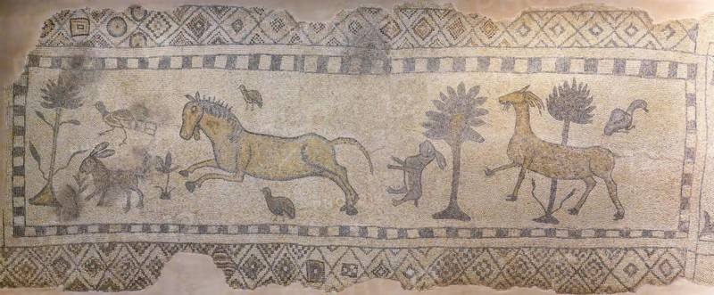 Saridere mosaic, Zeugma mosaic Museum, Gaziantep, Turkey, Asia