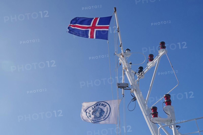 Iceland flag and Smyril Line flag waving in the wind, car ferry between Iceland and Denmark, Iceland, Europe