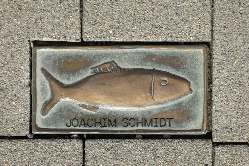 Bronze Clupeidae, pavement, Joachim Schmidt, harbour, Kappeln, Schlei, Schleswig-Holstein, Germany, Europe