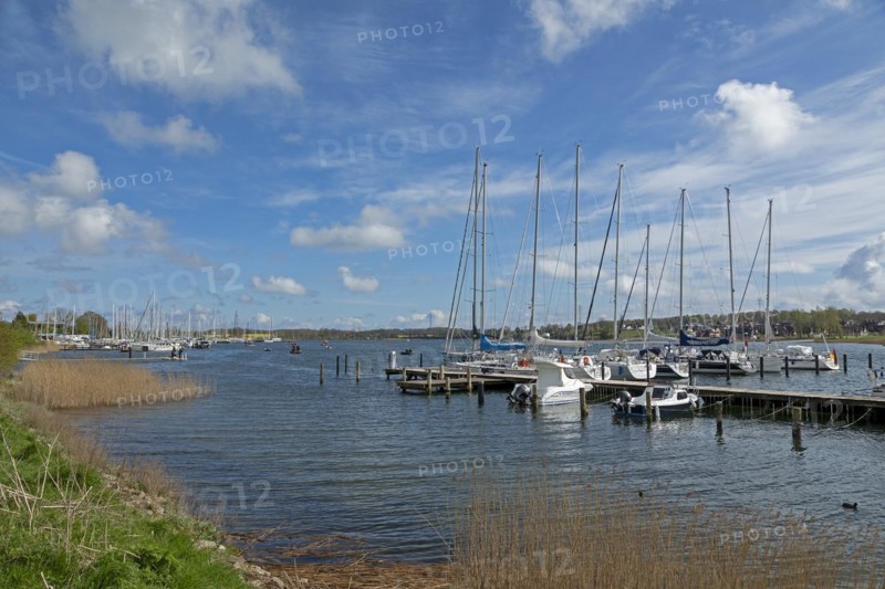 Marina, Oat, herring fishing, Kappeln, Schlei, Schleswig-Holstein, Germany, Europe