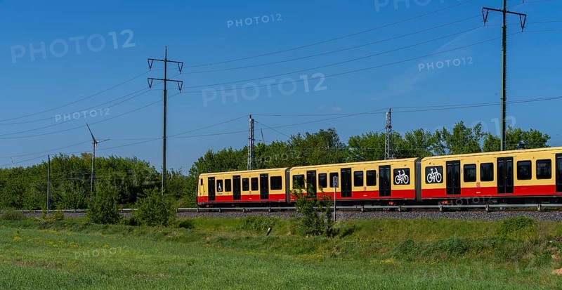 Suburban railway line in the landscape of Berlin Beech, Berlin, Germany, Europe