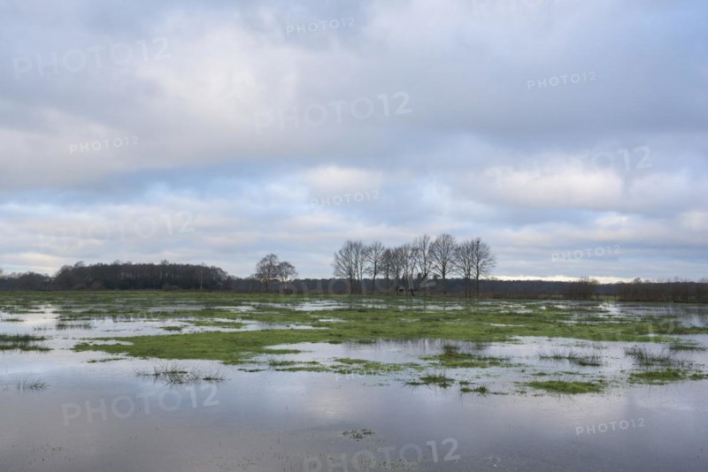 Flooded wet meadows in winter, Dingdener Heide nature reserve, North Rhine-Westphalia, Germany, Europe