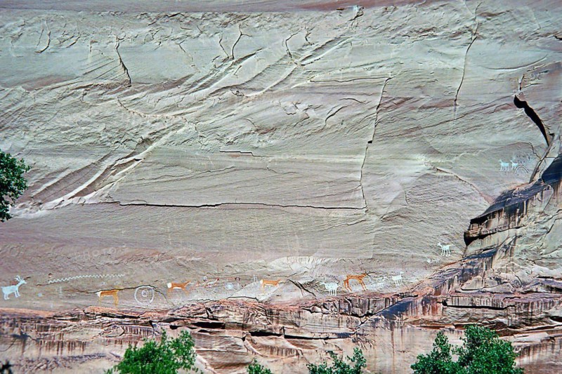 Historic petroglyphs, Canyon de Chelly National Monument, area of the Navajo Nation in the north-east of the US state of Arizona. The nearest town is Chinle. Colorado Plateau, Arizona, USA, North America