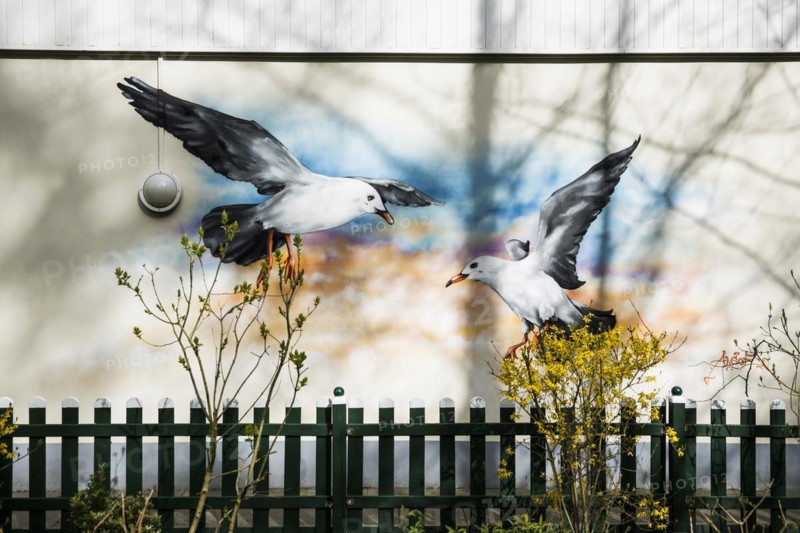 Wall painting with Seagulls, Dangast, Jade Bay, North Sea, Lower Saxony, Germany, Europe