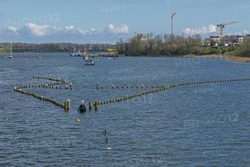 Herringszaun, Oat, Kappeln, Schlei, Schleswig-Holstein, Germany, Europe