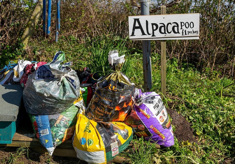 Bags of Alpaca poo on sale, Bawdsey, Suffolk, England, UK