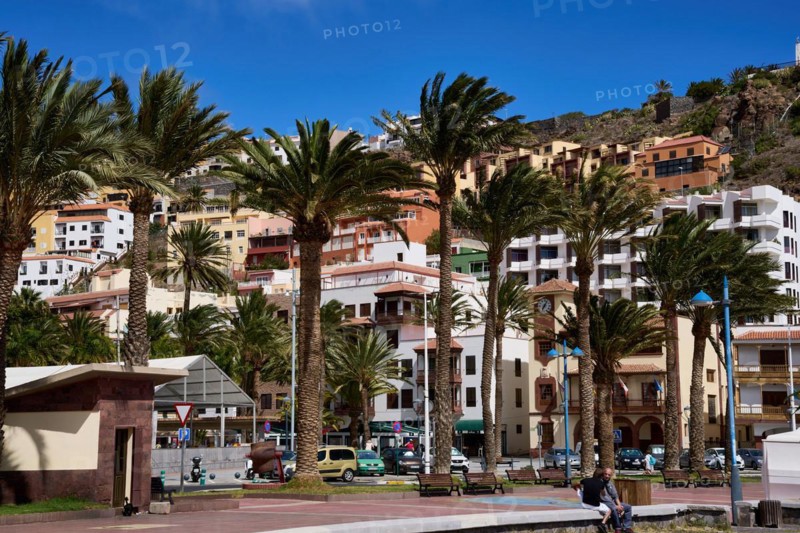 Palm trees in front of the Plaza de las Americas and the old town of San Sebastian de La Gomera, La Gomera, Canary Islands, Spain, Europe