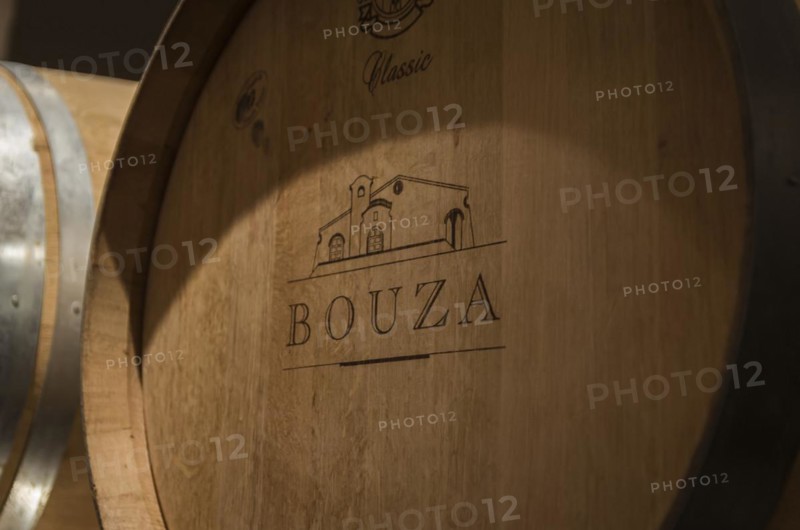 Montevideo, Uruguay, 13th January 2022, Oak barrels from famous Bodega Bouza, winery of fine wines from uruguay, South America