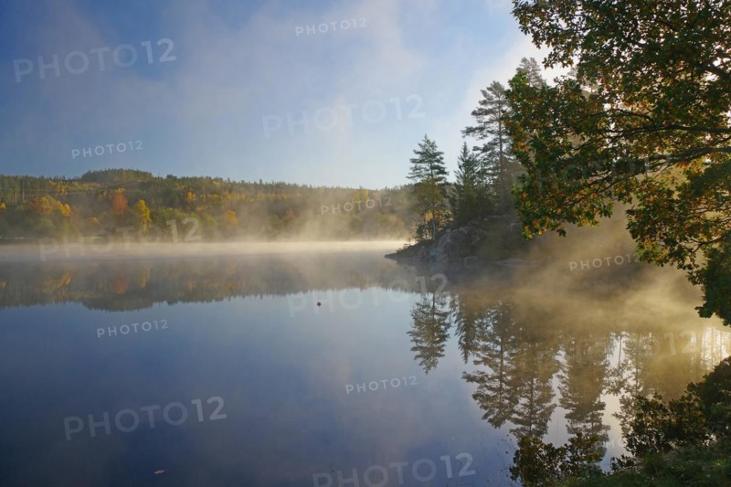 Sunrise and autumnal morning mist over a calm lake, foliage colouring, Bullaren, Bohuslaen. Sweden