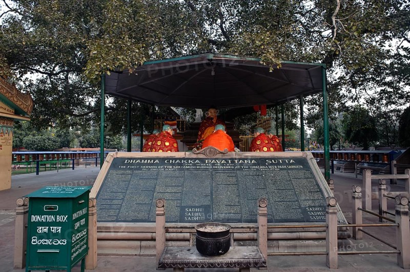 Sacred Bodhi tree campus, Buddhist pilgrimage site, Sarnath, India, Asia