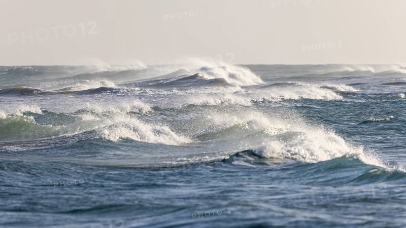 Destination Spain, swimming in the sea, travel, holiday, holiday feeling, sea, waves, Playa del Matorral, bathing fun, relaxation, peace and nature, Fuerteventura, Spain, Europe