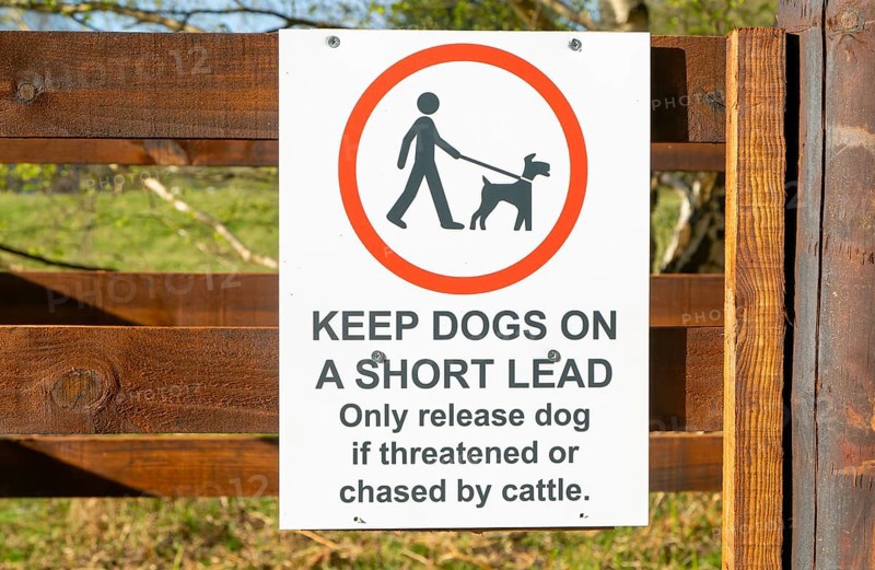 Keep Dogs on short lead, only release dog if threatened or chased by cattle, Suffolk Sandlings, Suffolk, England, UK
