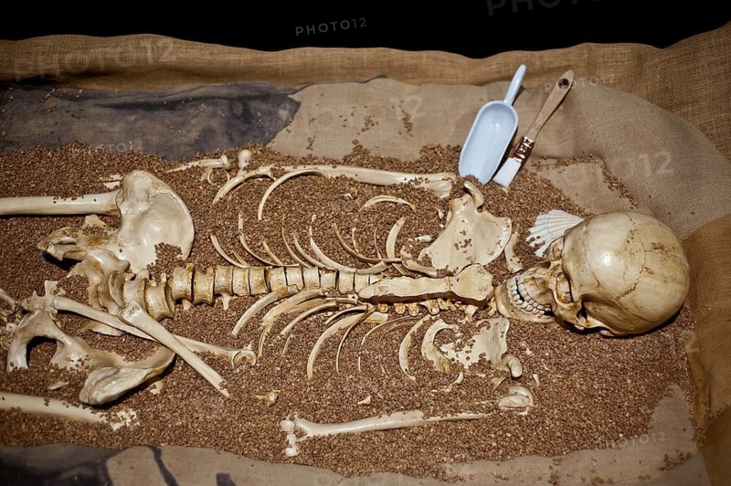 Mould, prehistoric human skeleton, France, Europe