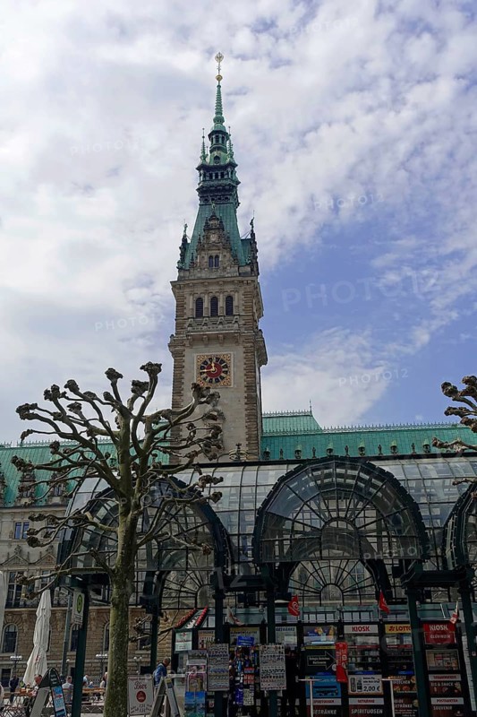 Hamburg Town Hall and Town Hall Market, Hamburg, Germany, Europe, Bare trees frame the view of the historic town hall under a cloudy sky, Hanseatic City of Hamburg, Europe