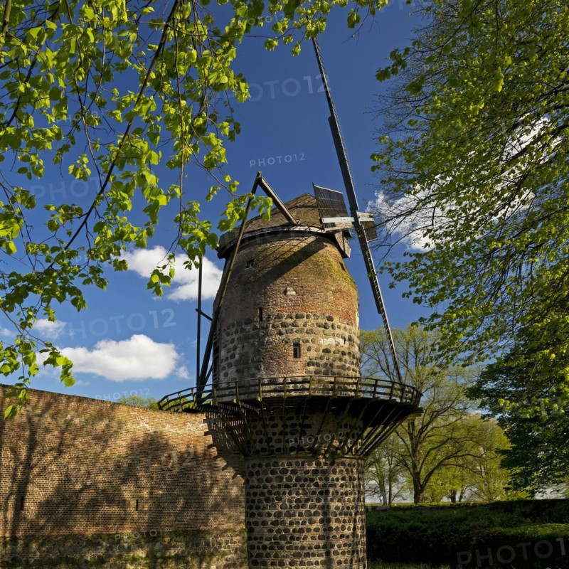 Town wall with mill tower of the historic windmill in Zons, Dormagen, Lower Rhine, North Rhine-Westphalia, Germany, Europe