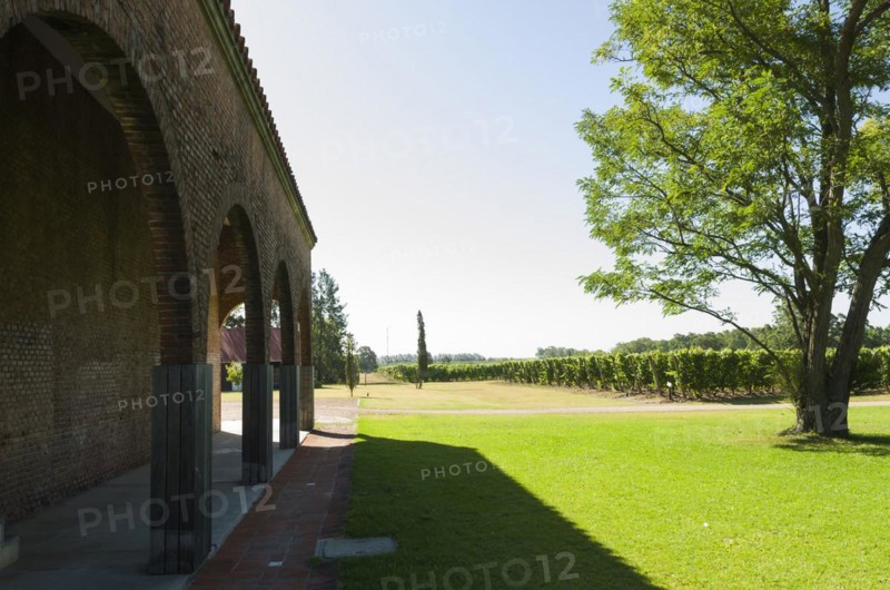 Montevideo, Uruguay, 13th January 2022, Famous Bodega Bouza, winery of fine wines from uruguay, South America