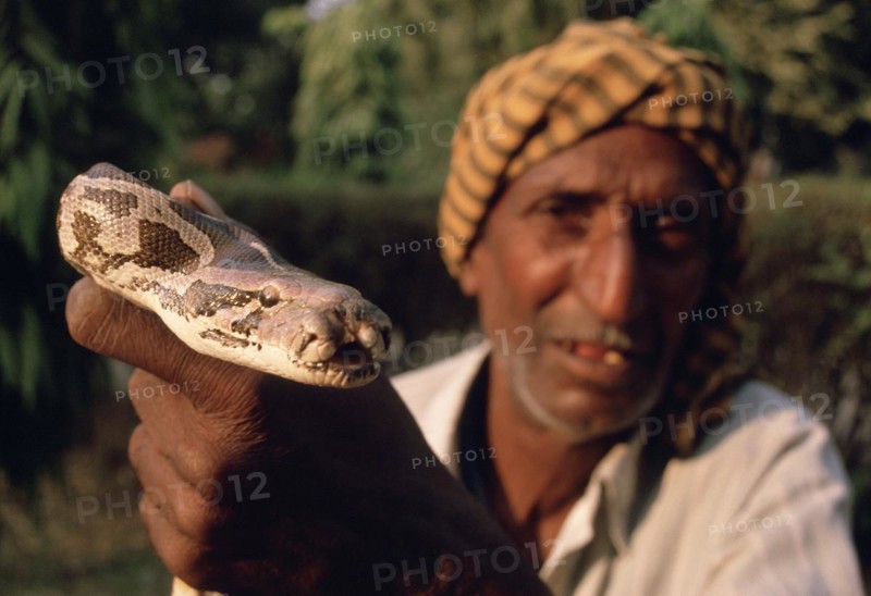 Snake charmer, low caste, senior, man, snake, deformity, India, Asia