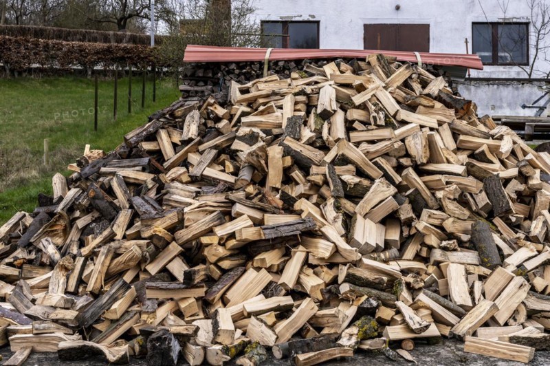 Pile of firewood in the front garden, Ruegen, Mecklenburg Vopommern, Germany, Europe