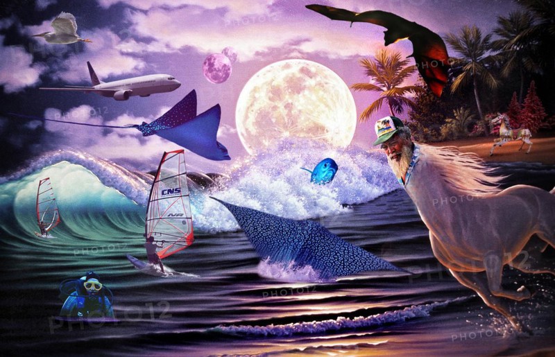 Composing with Fish and Birds and Centaur, from base of painting in gallery, Honolulu, Hawaii