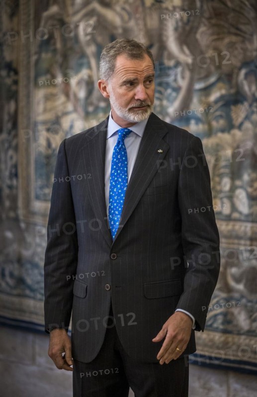 His Majesty Felipe VI, King of Spain, pictured on the occasion of his participation in the Conference of Presidents of the Parliaments of the European Union