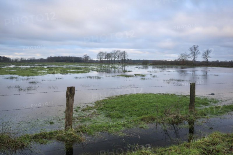 Flooded wet meadows in winter, Dingdener Heide nature reserve, North Rhine-Westphalia, Germany, Europe