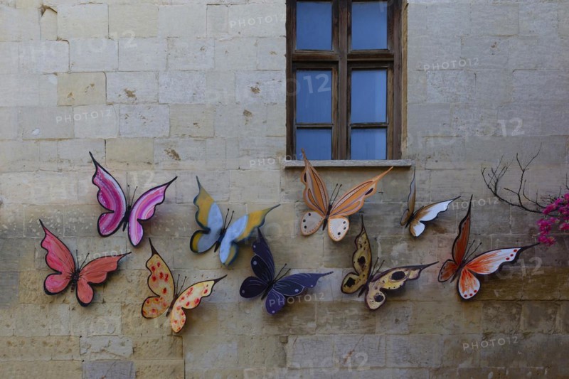 Butterfly sculptures on house wall, Gaziantep, Turkey, Asia