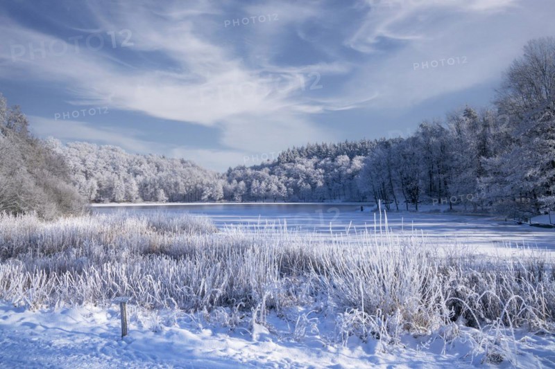 Holzmaar, in winter, nature reserve, Vulkaneifel, Rhineland-Palatinate, Germany, Europe