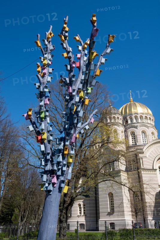Cathedral of the Nativity of Christ, the largest Russian Orthodox church in the Baltic States, stands in Riga's Esplanade Park, in front of a tree with a birdhouse, Riga, Latvia, Europe