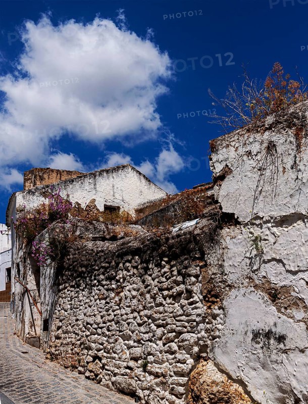 Old house facades and property walls, Bornos, Andalusia, Spain, Europe