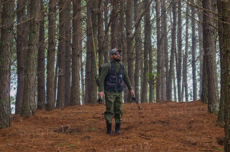 Fisherman walking in pine forest, Cambara do sul, Rio Grande do sul, Brazil, South America