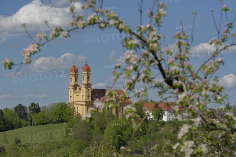 Schoenenbergkirche, fruit blossom, pilgrimage church, church, baroque church, church, pilgrimage, pilgrims, religion, faith, Ellwangen an der Jagst, Jagsttal, Ostalbkreis, Schwaebische Ostalb, Germany, Europe
