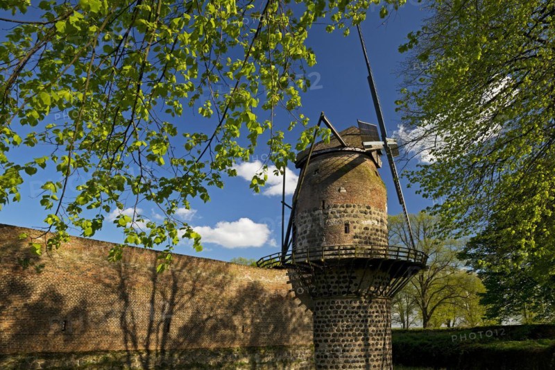 Town wall with mill tower of the historic windmill in Zons, Dormagen, Lower Rhine, North Rhine-Westphalia, Germany, Europe