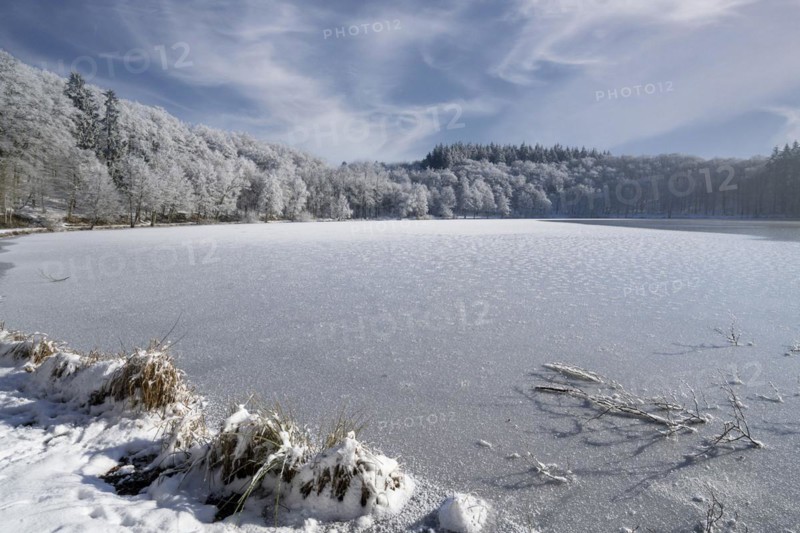 Holzmaar, in winter, nature reserve, Vulkaneifel, Rhineland-Palatinate, Germany, Europe