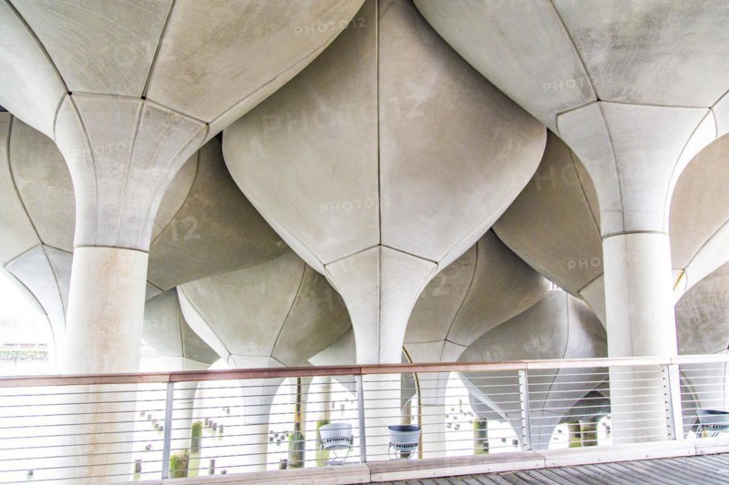 View of the supporting columns from below: Little Island at Pier 55, an artificial island park in the Hudson River, Manhattan, New York City