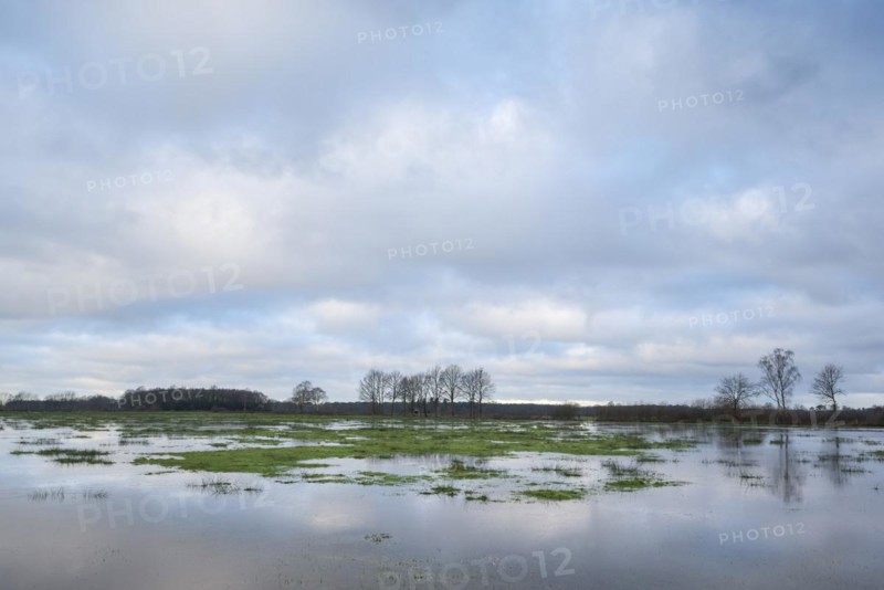 Flooded wet meadows in winter, Dingdener Heide nature reserve, North Rhine-Westphalia, Germany, Europe