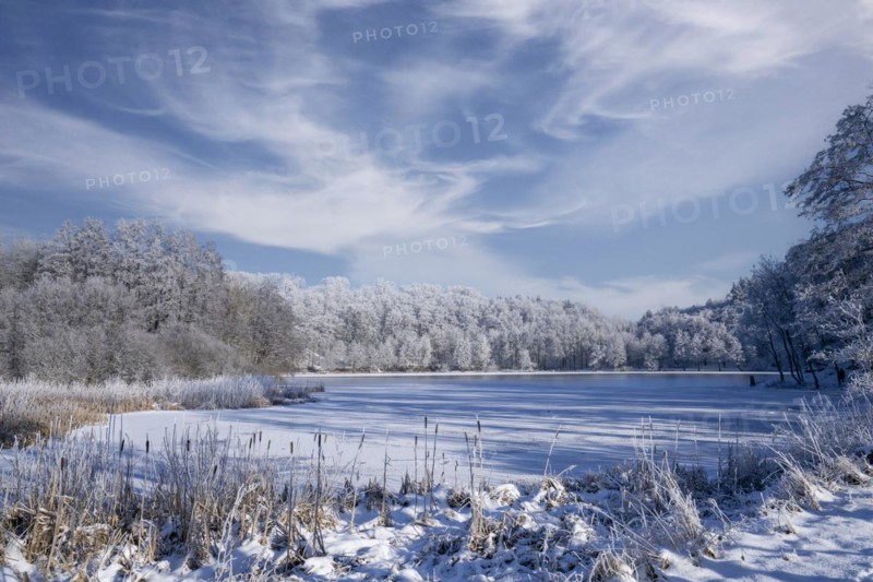 Holzmaar, in winter, nature reserve, Vulkaneifel, Rhineland-Palatinate, Germany, Europe