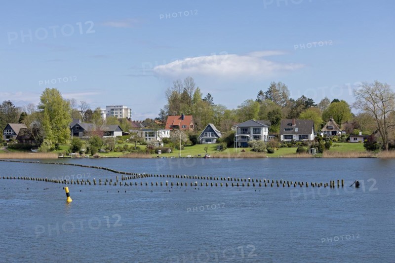 Herringszaun, Oat, Kappeln, Schlei, Schleswig-Holstein, Germany, Europe