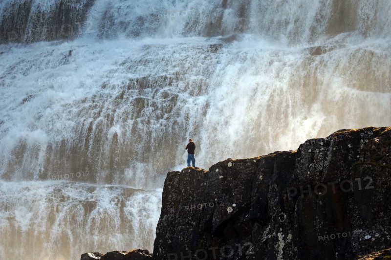 Man standing on a rock in front of the falling water of a waterfall, Dyandi, Westfjords, Iceland, Europe