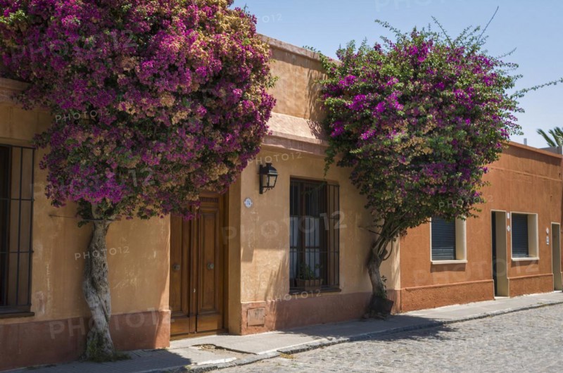 Colonia del Sacramento in Uruguay, an important tourist spot