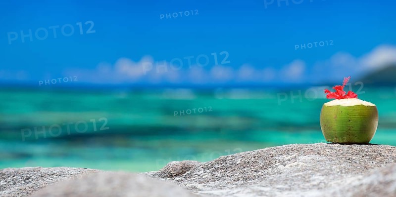 A fresh coconut on the beach, La Digue, Indian Ocean, Seychelles, Africa